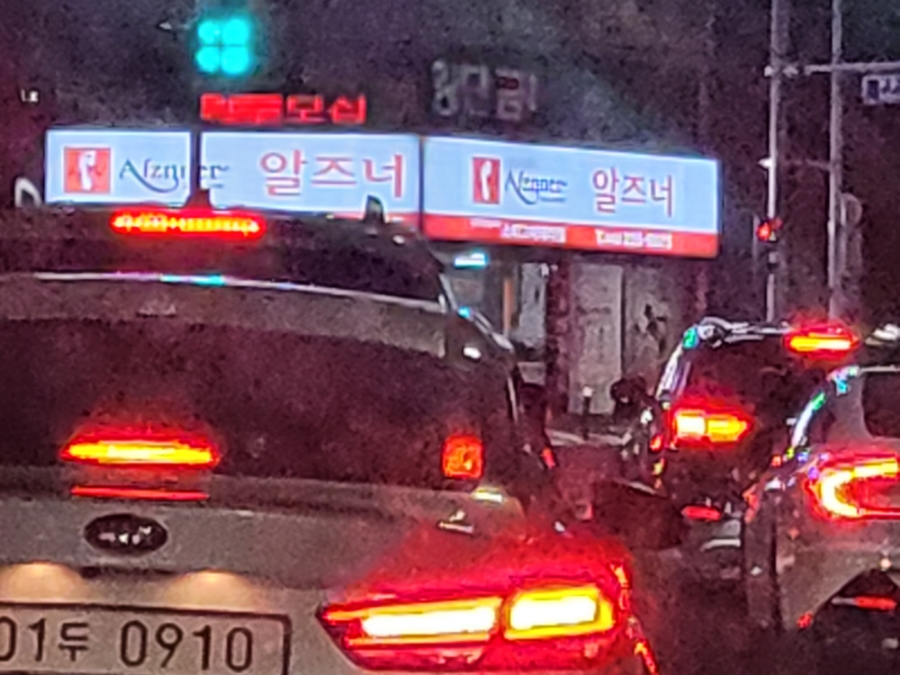 알즈너대한 이미지