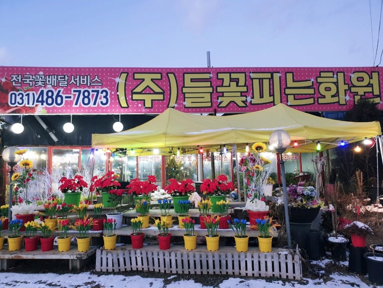 들꽃피는화원 이미지