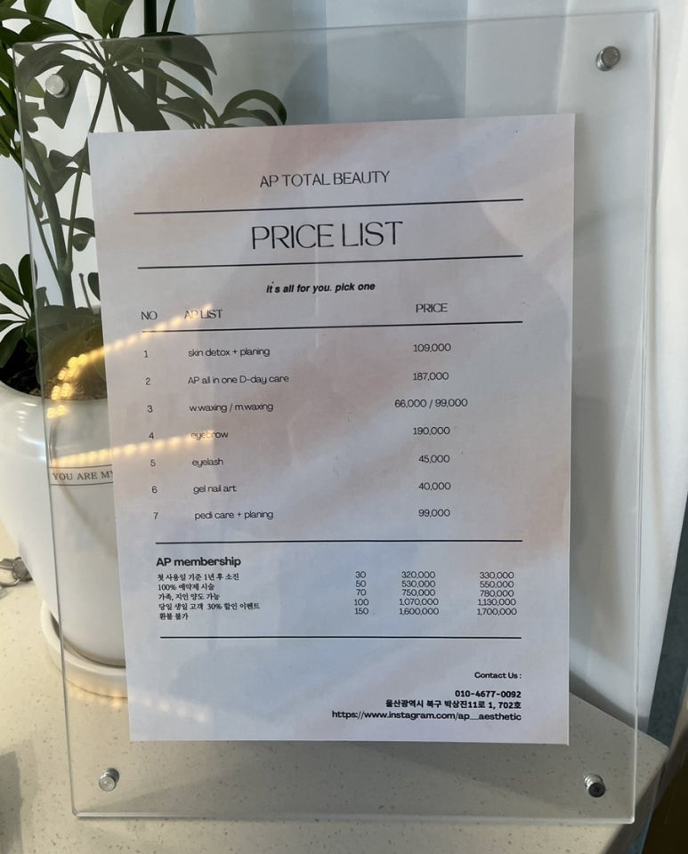에이피에스테틱 이미지