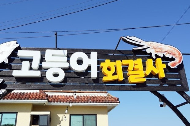 고등어회결사 이미지
