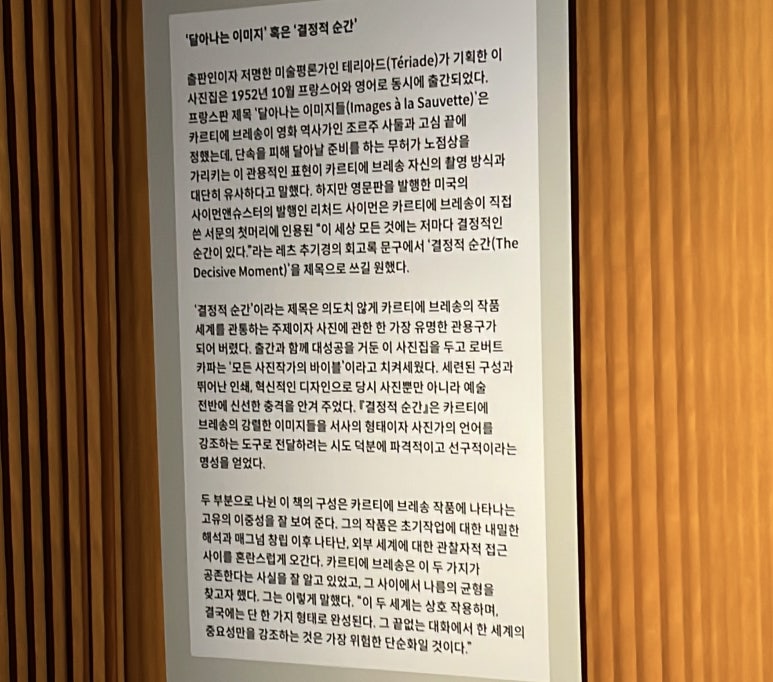 베르브(Verve) 이미지