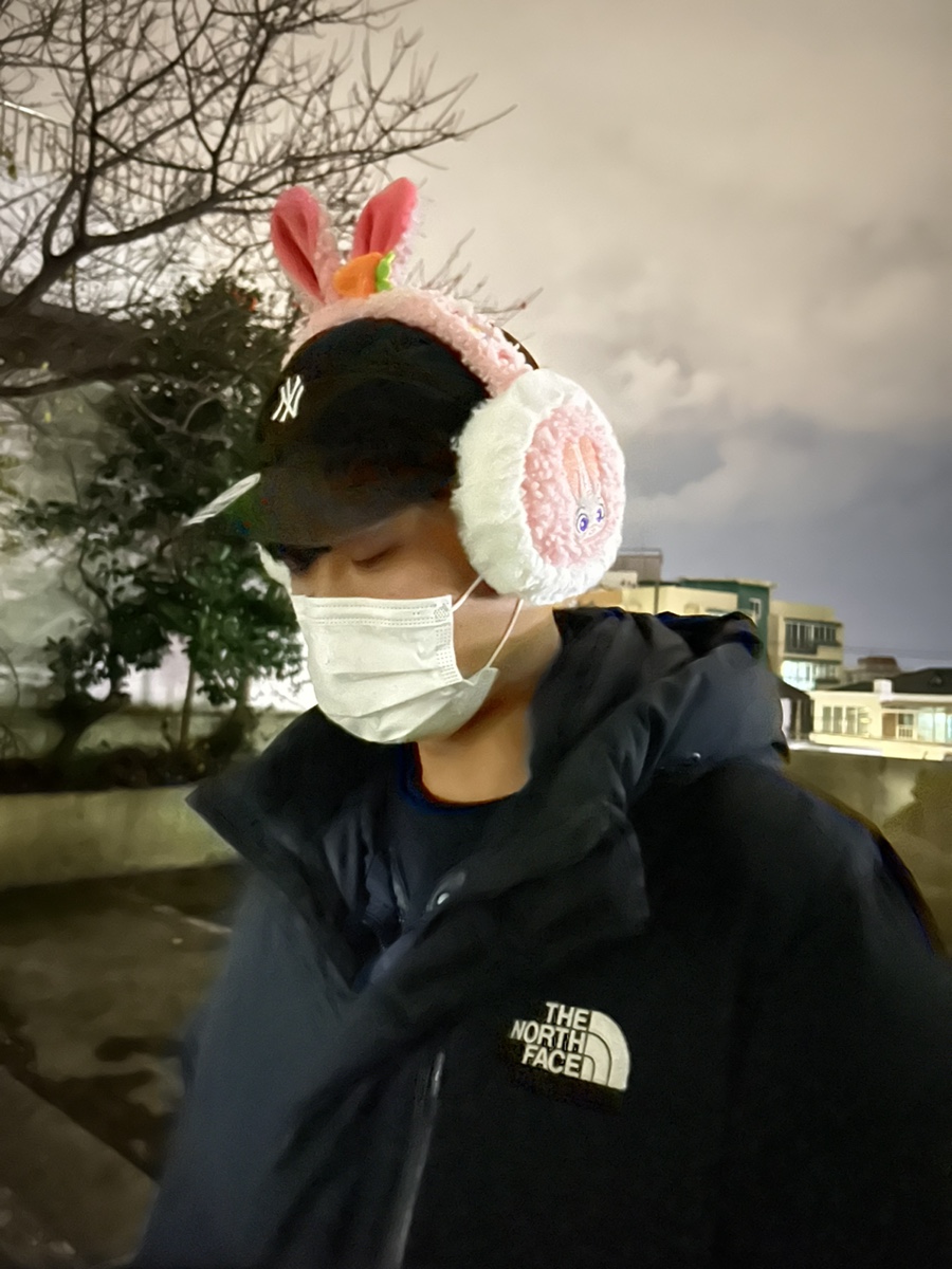 세렌디피터 이미지
