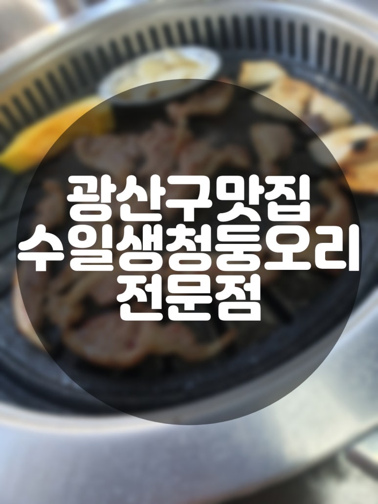 수일생오리 이미지