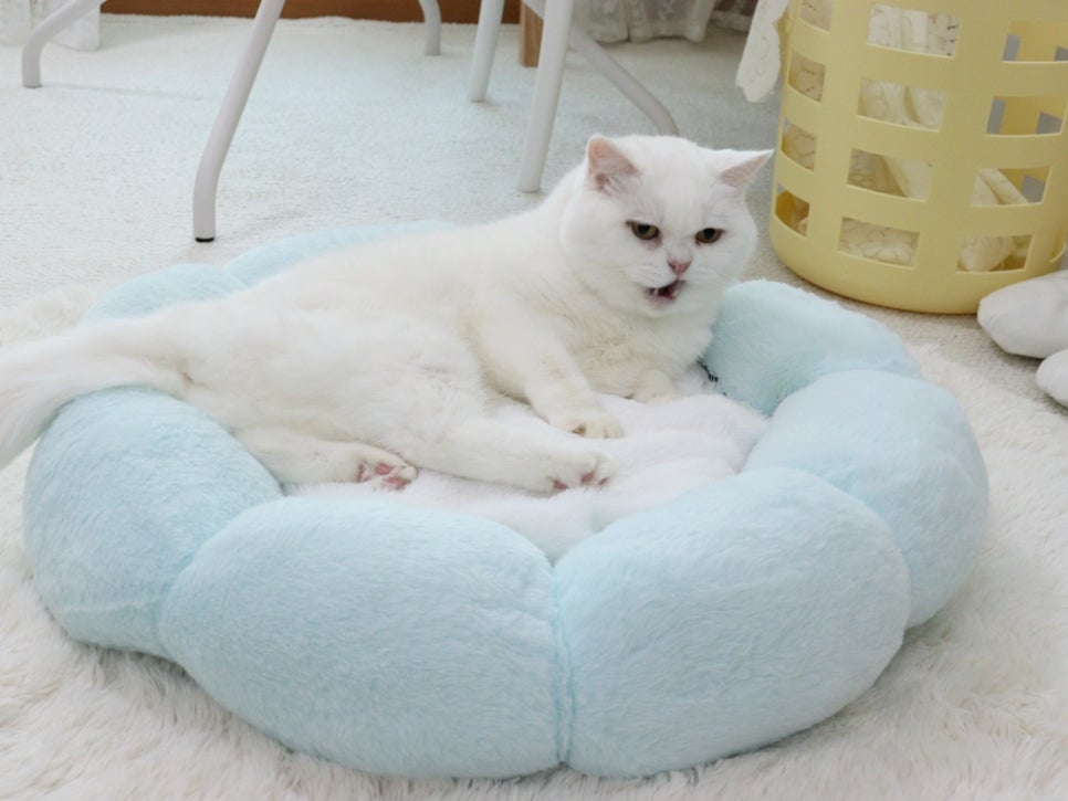 (주)헵스 이미지