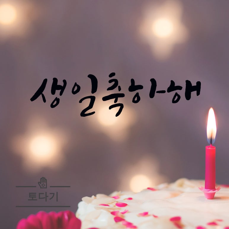 토다기 이미지