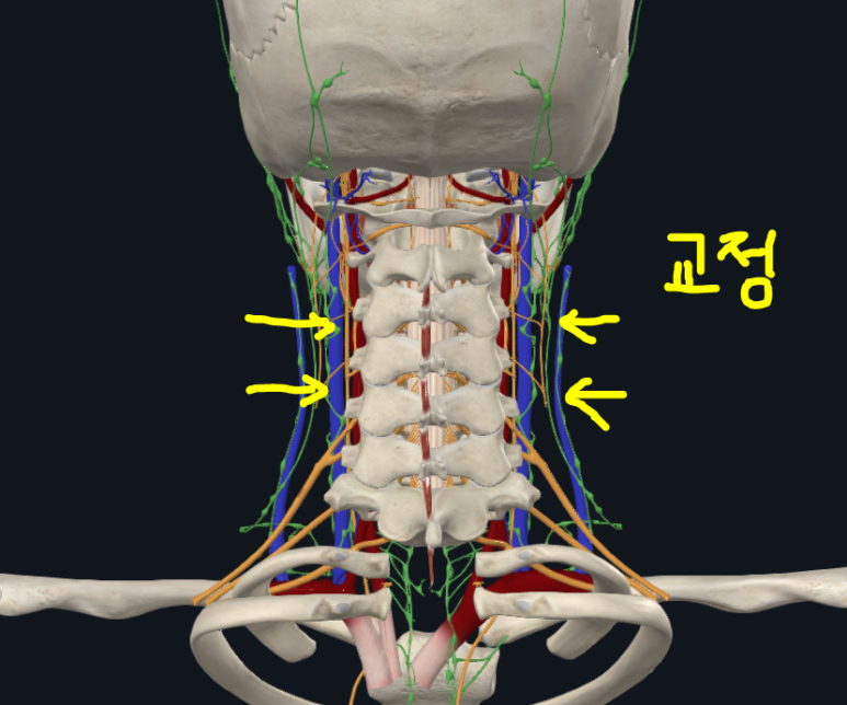 신진CST 이미지