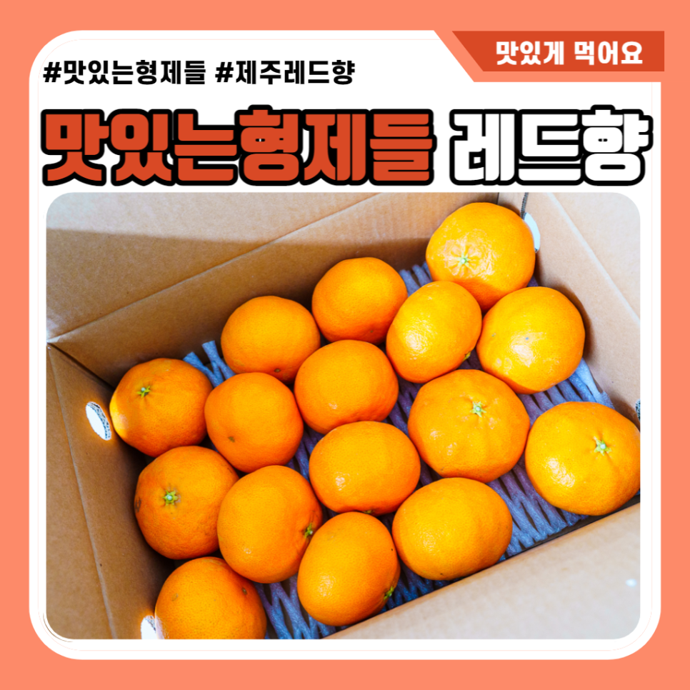 맛있는형제들 이미지
