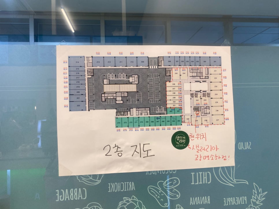 샐러리아광명 이미지