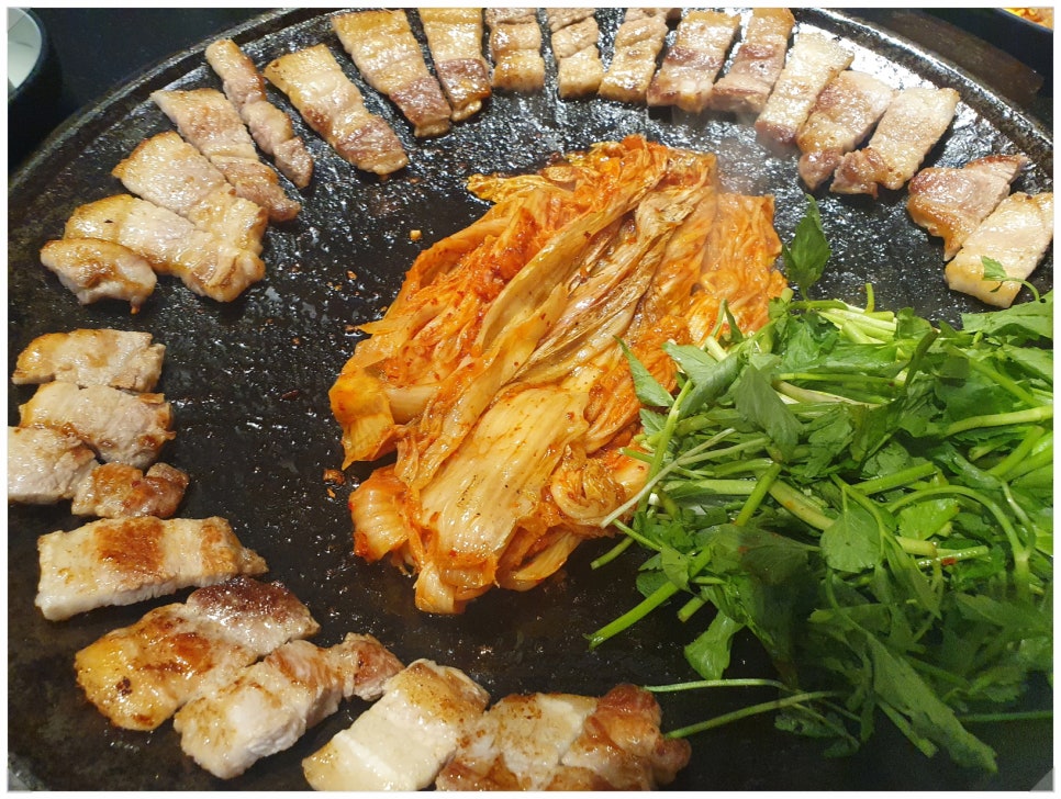 솥고집 이미지