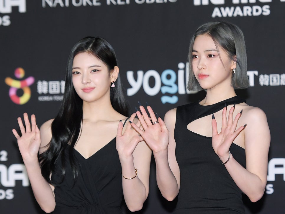 비비드림 이미지