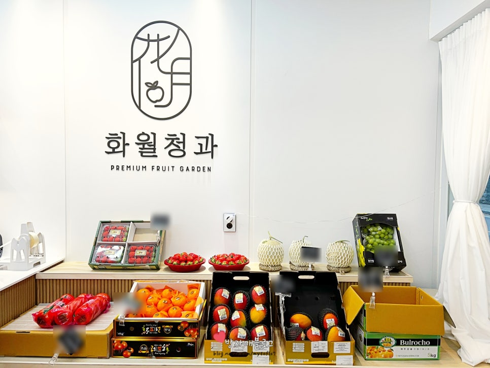 비산청과 이미지