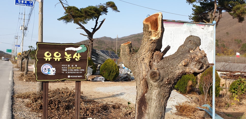 유유농산 이미지