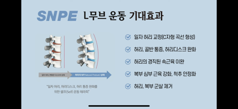 바른체형교정운동 이미지
