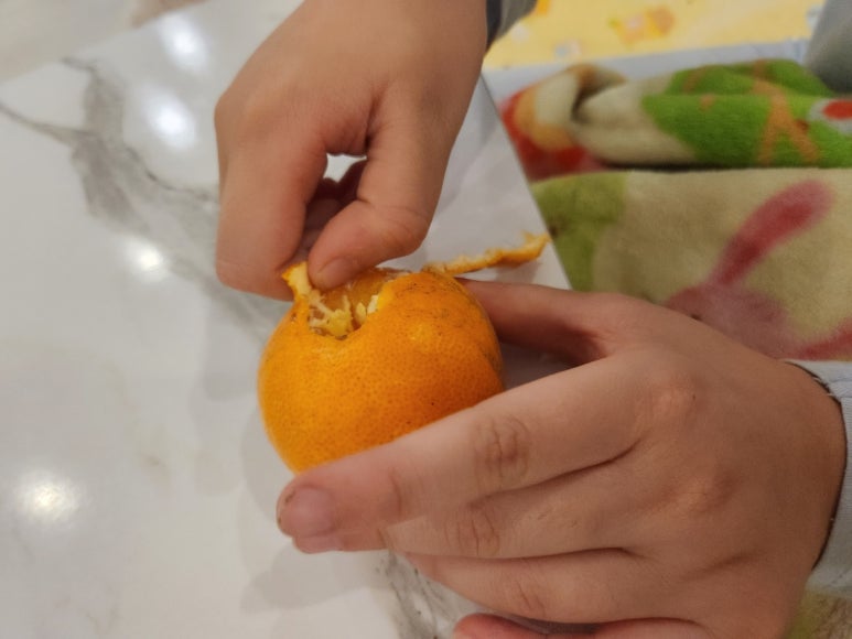 달.프룻 이미지
