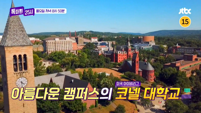 (주)아이비 25 이미지