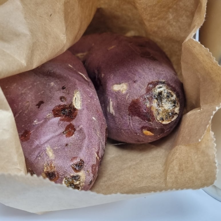 텐퍼센트연산 이미지