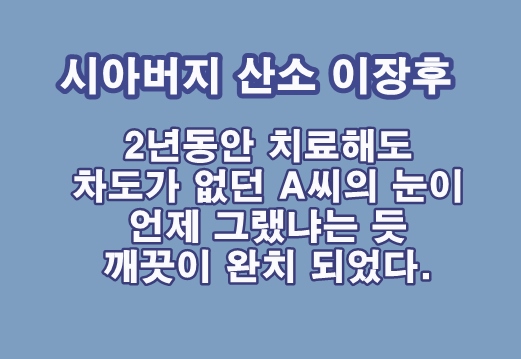 홍지인 이미지