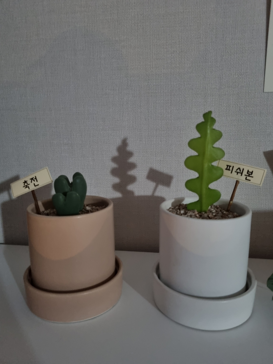 플레로드 이미지