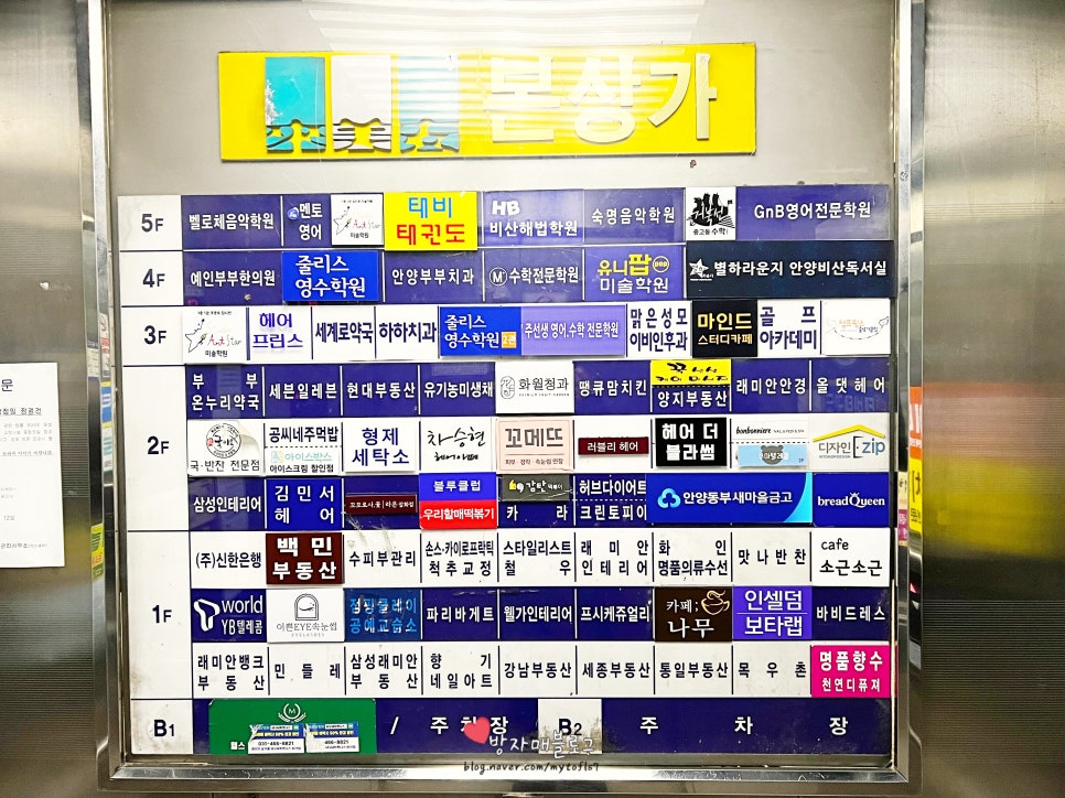 비산청과 이미지