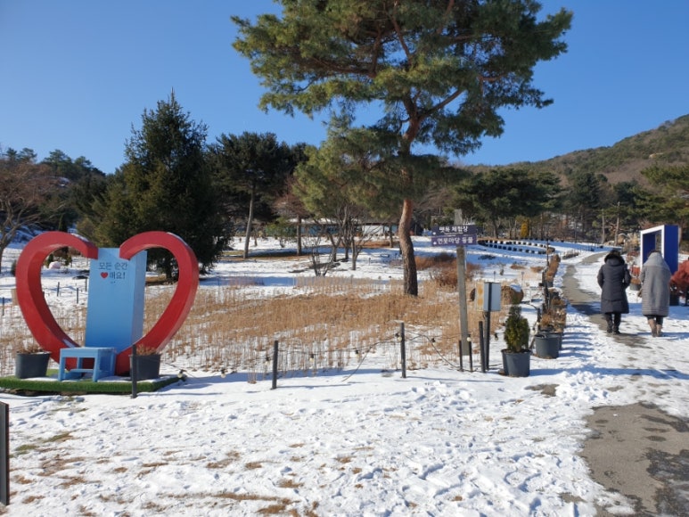 풀잎식당 이미지