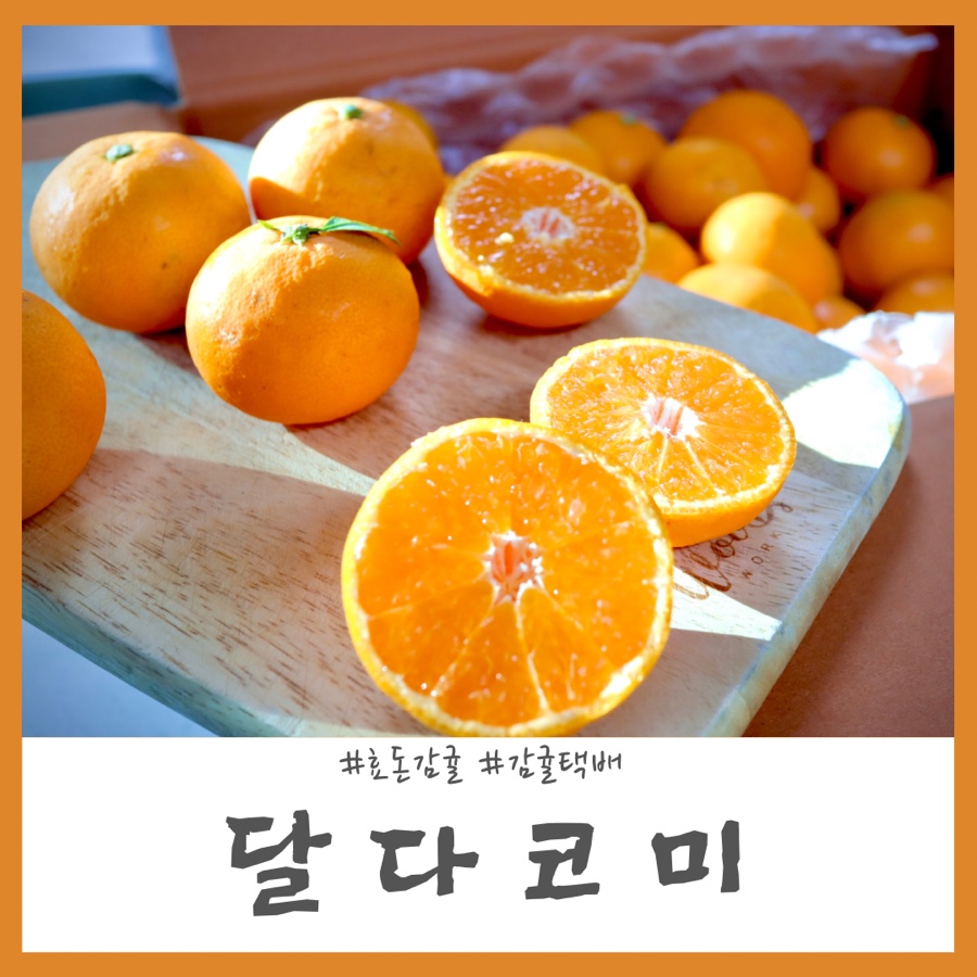 달.프룻 이미지