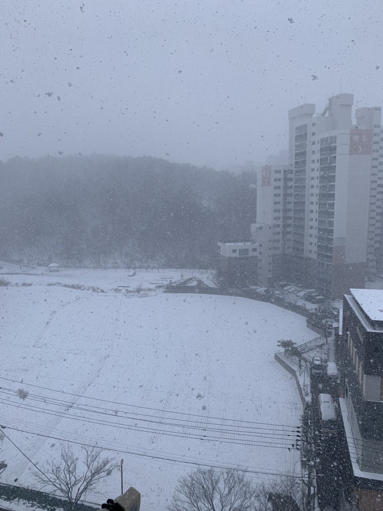 할라쏠트 이미지