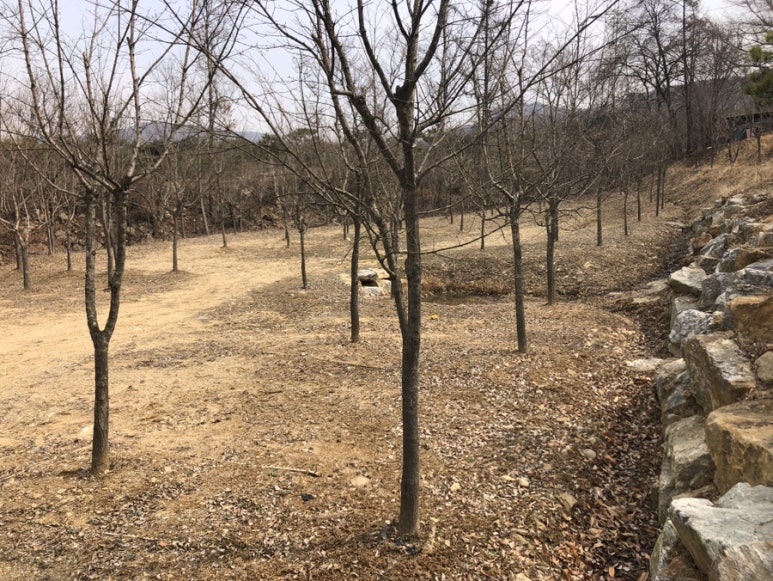 득카페 이미지