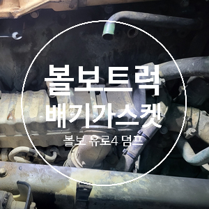 유성카중기 이미지