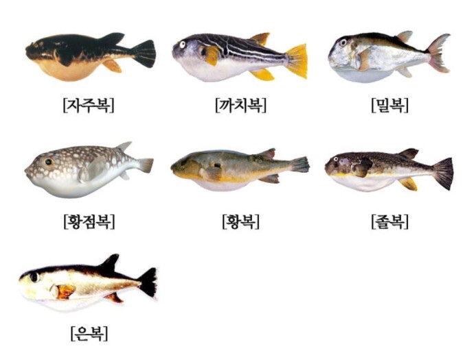 기장복국 이미지