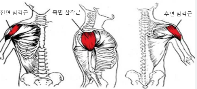 더블케이짐 이미지