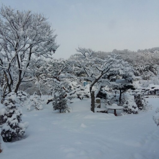 대산컨설팅 이미지