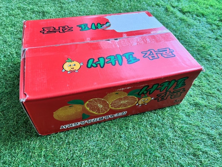 달.프룻 이미지