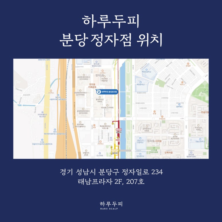 하루두피 분당정자점 이미지