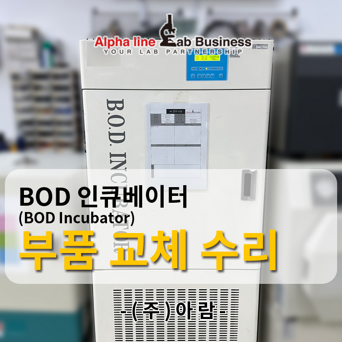 (주)BOD 이미지
