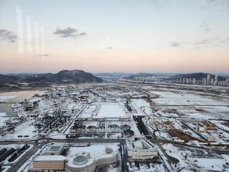 플레져빈 이미지
