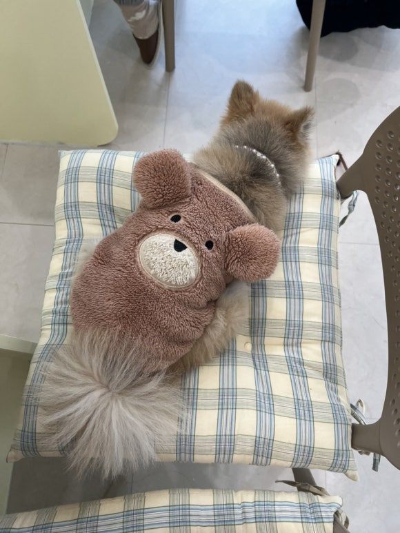 네일에꽃이피다 이미지