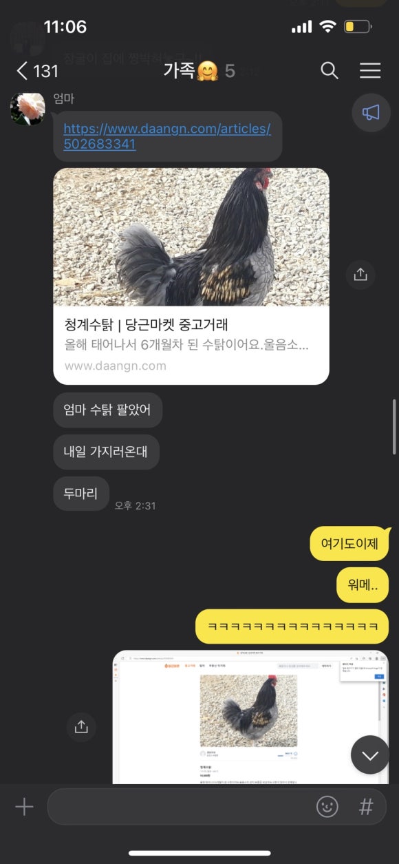대영자동차유리 이미지