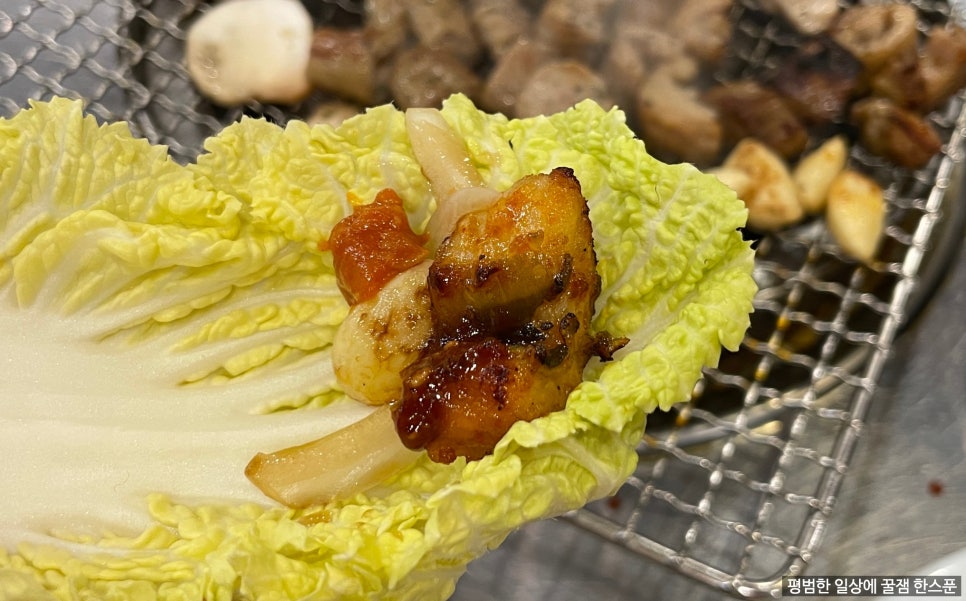 청구산호아나고 이미지