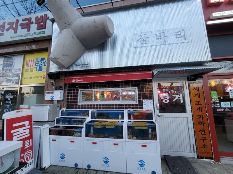 삼바리 정관점 이미지