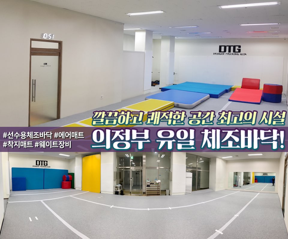 드래곤트릭킹짐 이미지