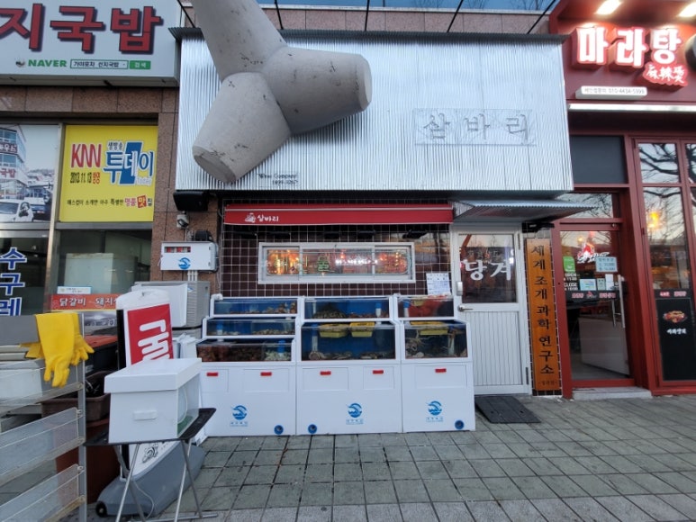 삼바리 정관점 이미지