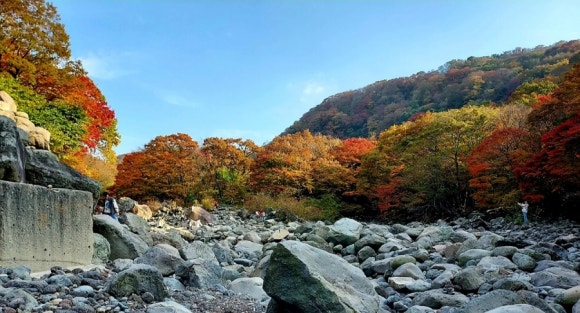 용진주유소 이미지