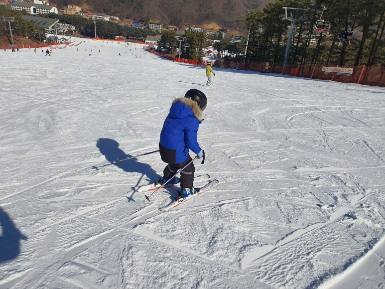 베테랑스키 이미지