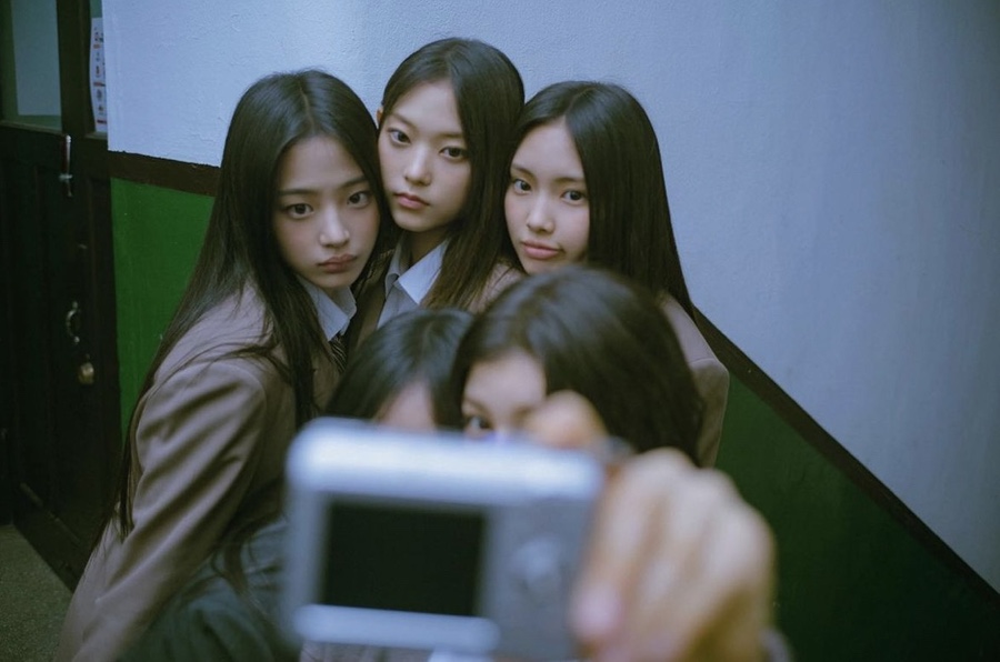 신디스 이미지
