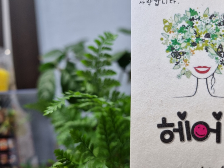 헤어쿡 이미지