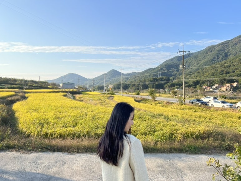 시노유(shino'u 이미지