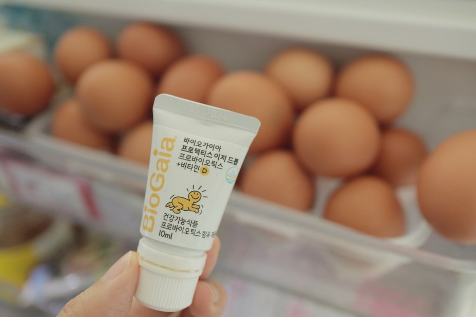 가이아인터내셔널 이미지