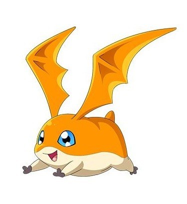 디지지에스 이미지