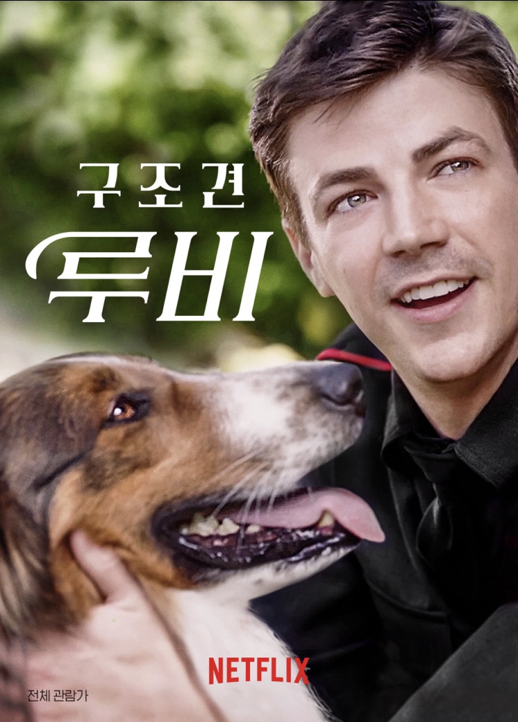 참새당 이미지