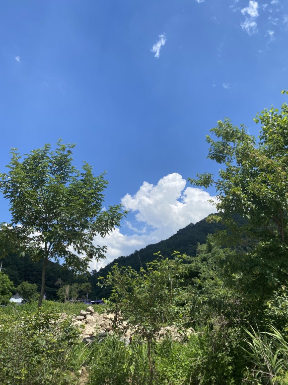 곰배골길146·29 이미지